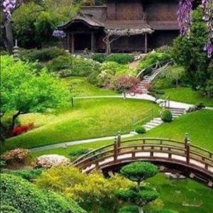 Meet your Posher, Daniela